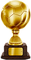 2014_worldcup_cup_champion_cup_5